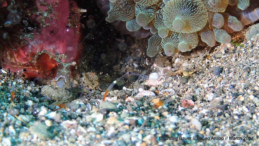 P3273930.jpg