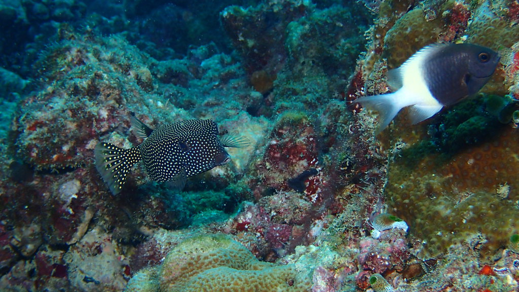 P8230128.JPG